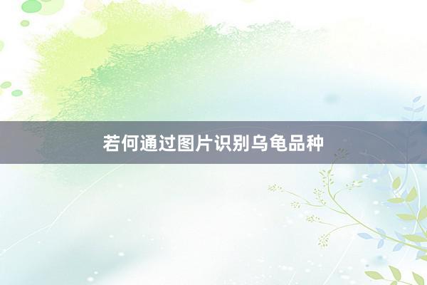若何通过图片识别乌龟品种