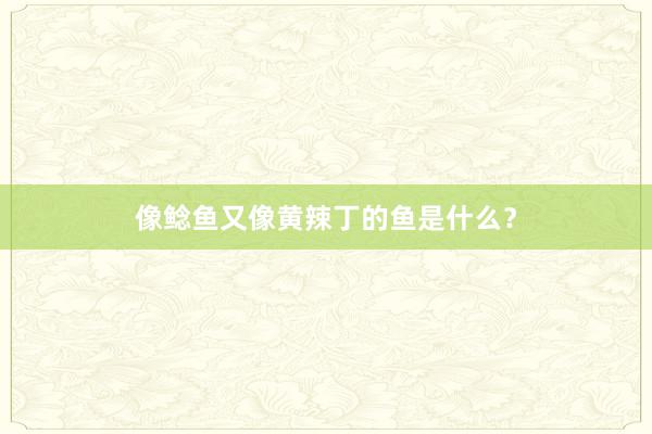 像鲶鱼又像黄辣丁的鱼是什么？